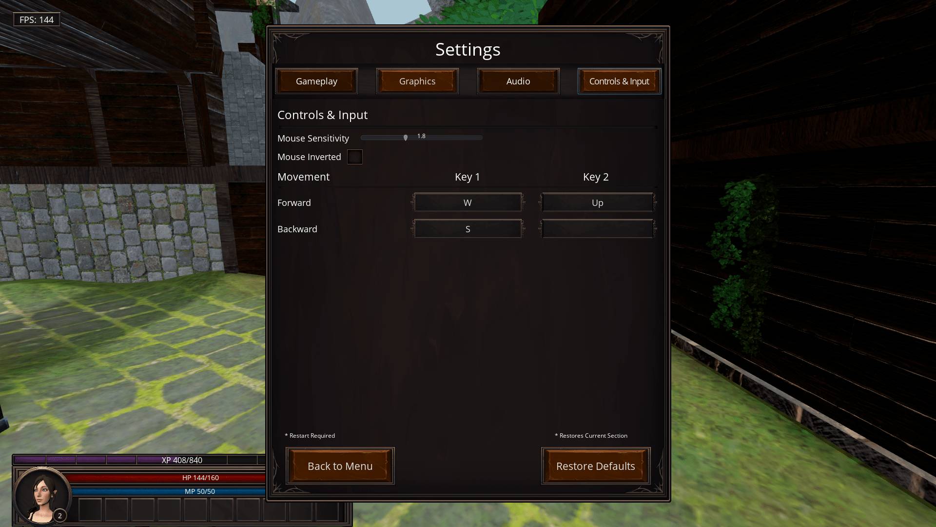 Ingame Controls and Inputs View